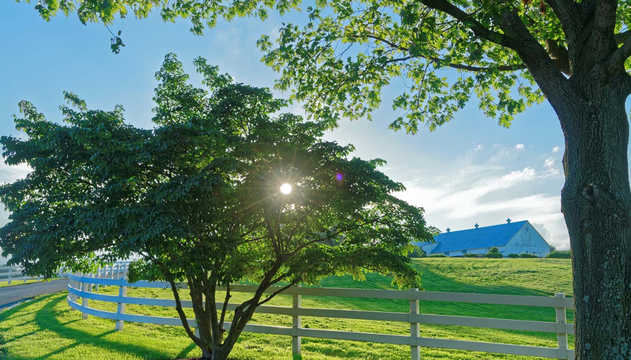 Luxury Homes in Potomac, Md. Avenel