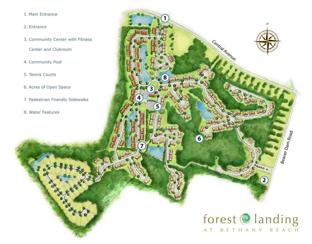 Forest Landing by Natelli Communities site plan