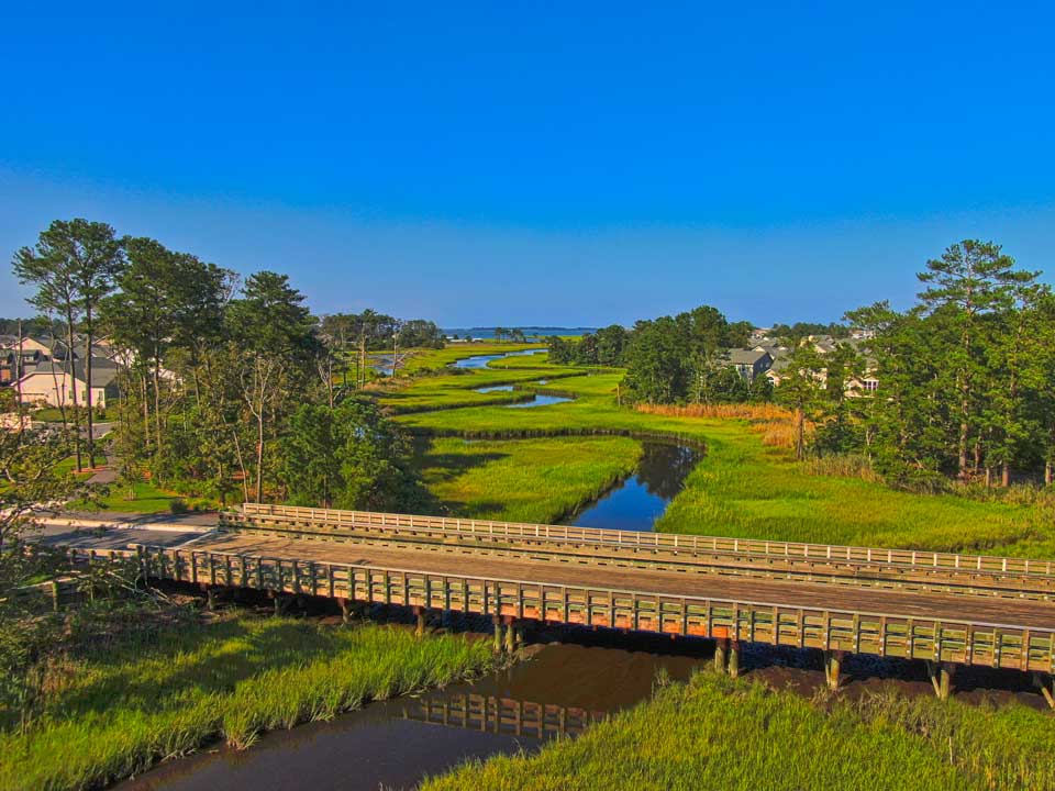Bay Forest Natelli Communities