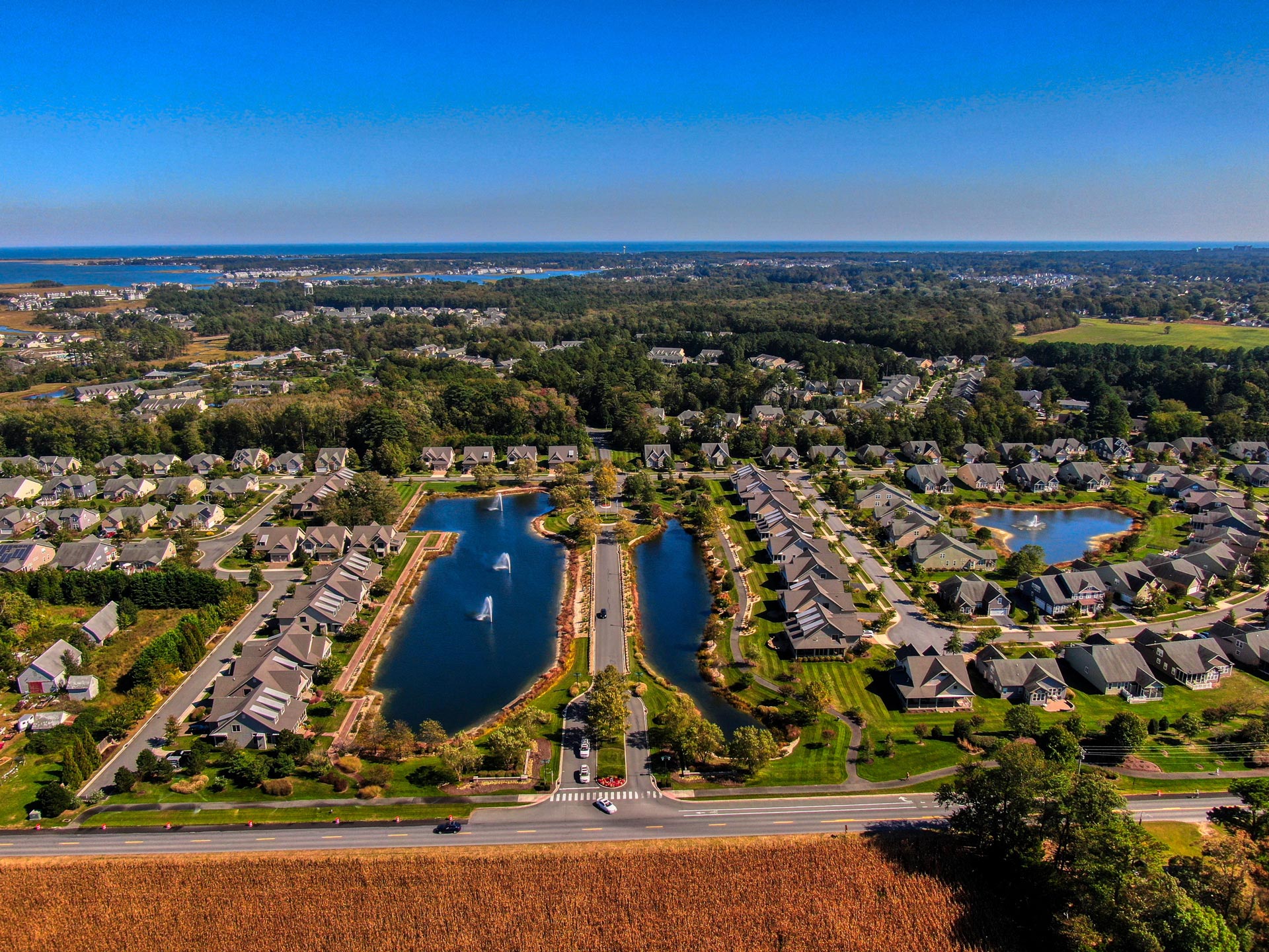 Bay Forest by Natelli Communities